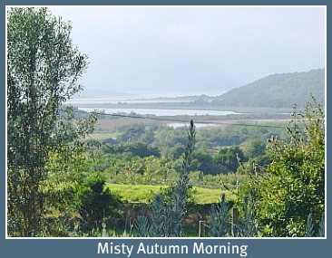 A misty morning at Downunder Farm