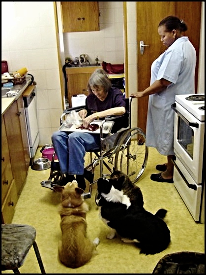 Mom in the kitchen with Molly and pets