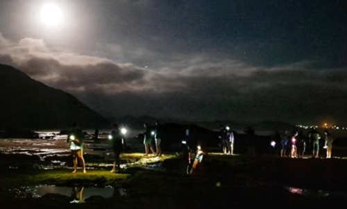 Moonlight Meander with Judy Dixon Moonlight Meander at Gerickes