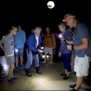 Judys Moonlight Meander