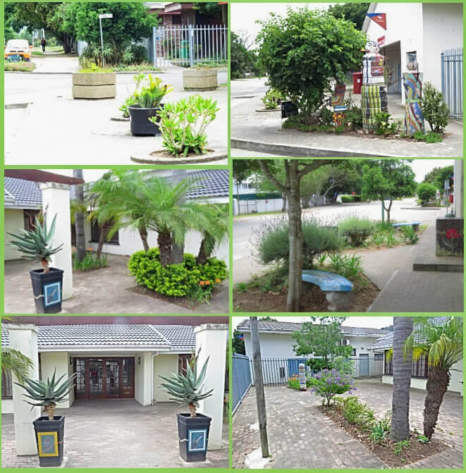 Gardens  surrounding the Sedgefield Municipal Buildings