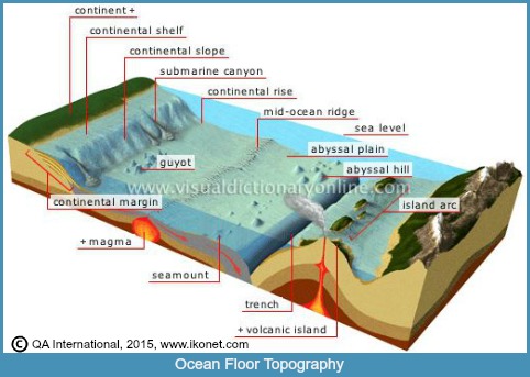 Ocean Floor topography