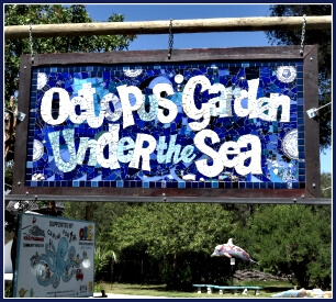 Octopus Garden at Scarab Market