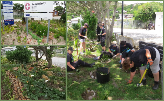 Sedgefield Clinic garden facelift