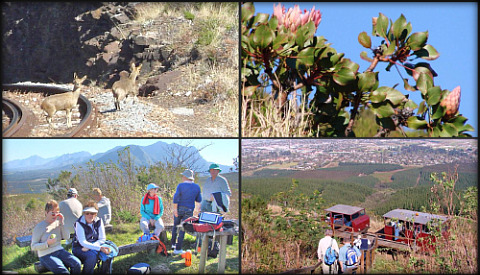 Klipspringers, proteas & refreshment stop