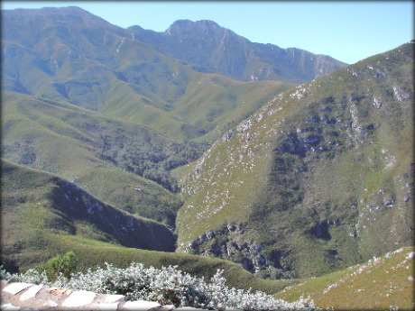 Outeniqua Mountain Pass