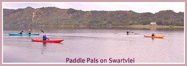 Paddle Pals on the Swartvlei Paddle Pals on the Swartvlei