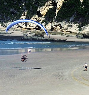 Paraglider landing on Swartvlei Beach