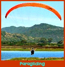 Paragliding Options along the Garden Route