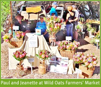 Paul and Jeanette at the Saturday Wild Oats Farmers' Market at Sedgefield
