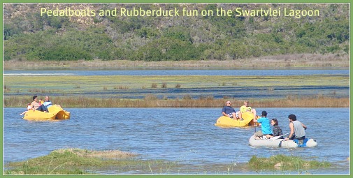paddleboats & rubberducks paddleboats & rubberducks