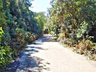 Prince Alfred Pass road