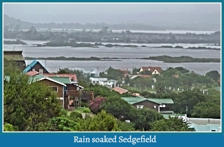A view of rain-soaked Sedgefield