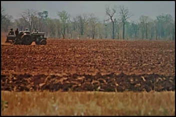 Rhodesian Tobacco Farm