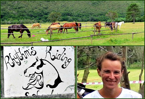 Chendra and horses in the field