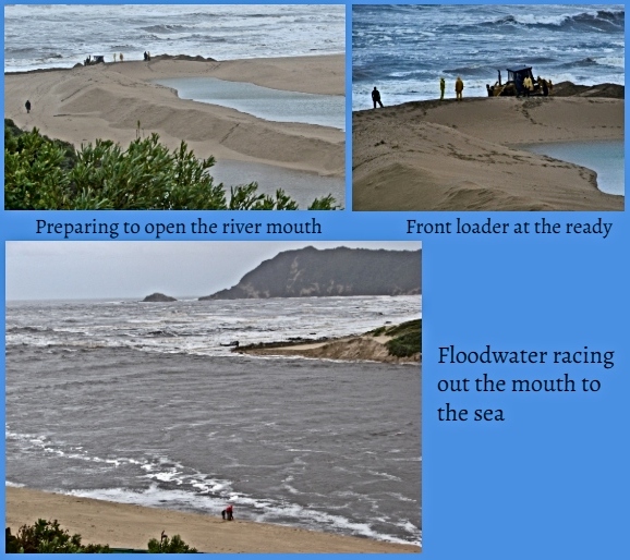 Preparations to open the River mouth