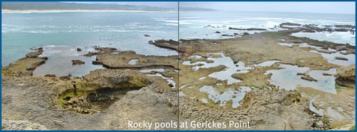 Exposed areas at Gerickes Point at low Spring tide Exposed areas at Gerickes Point at low Spring tide