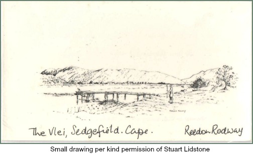 Reedon Rodway's Vlei drawing Reedon Rodway's Vlei drawing