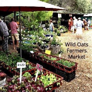 Wild Oats Farmers'Market