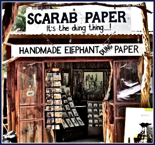 Scarab Paper