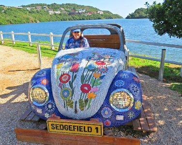 Sedgefield 1 Mosaic Volksie