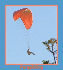 Sedge paragliding