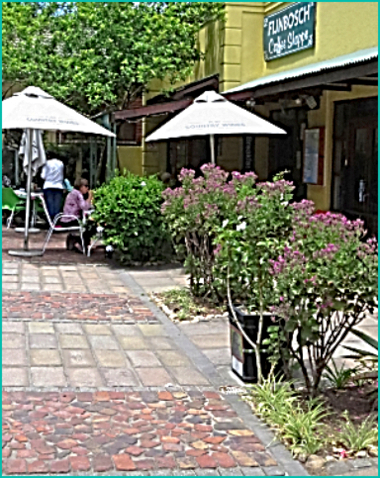 Small pavement garden