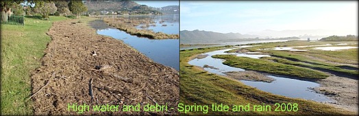 Spring tide debris after rain 2008