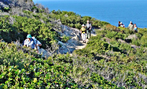St Blaize Trail along the cliffs from Mossel Bay