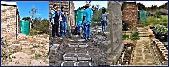 Wilderness Dunes Team building steps to the toilet block and market garden