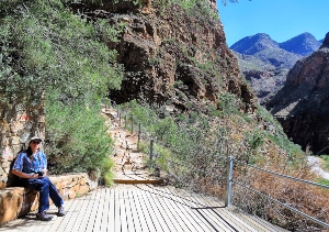 Stone Bench along the waterfall Pathway