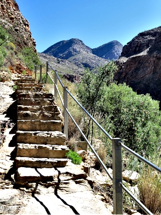 Stone Steps on the pathway to the Waterfall