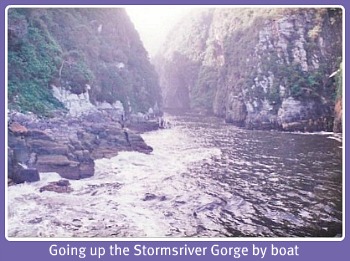 Storms River Gorge Storms River Gorge