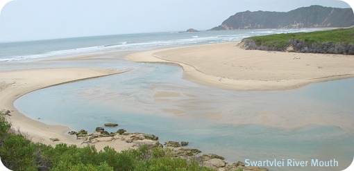 View from Kingfisher Drive Carpark down to Swartvlei River mouth and Gericke Point in the distance. View from Kingfisher Drive Carpark down to Swartvlei River mouth and Gericke Point in the distance.