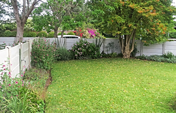 Swallow's Corner garden