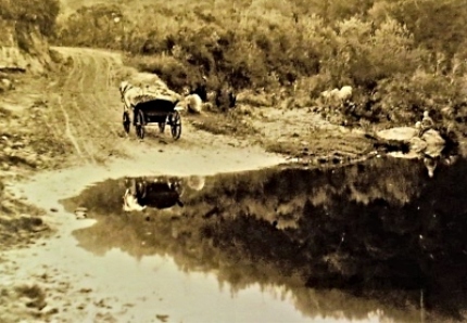 Swart River drift on the Old Passes Road 1900s
