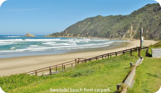 Swartvlei Beach Walk Swartvlei Beach Walk