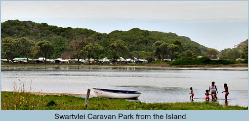 Swartvlei Campsite from the Island Swartvlei Campsite from the Island