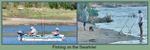 Couples fishing on the Swartvlei Lagoon in the vicinity of the Island. Couples fishing on the Swartvlei Lagoon in the vicinity of the Island.