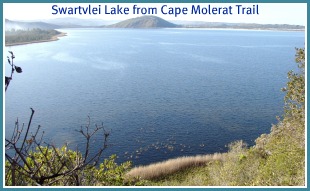 Vast Swartvlei Lake View of vast Swartvlei Lake from the Dune Molerat Trail