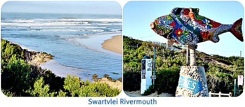 Swartvlei River Mouth Swartvlei River Mouth