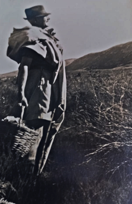 Moodie out surveying Sedgefield Moodie out surveying Sedgefield