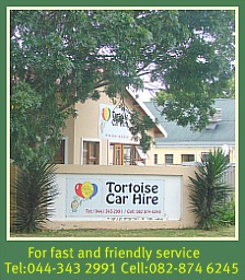 Tortoise Car Hire