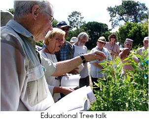 Educational tree talk Educational tree talk