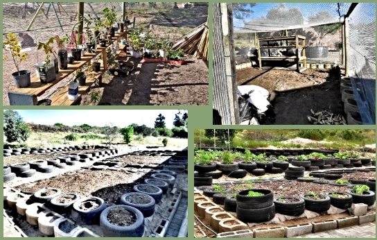 Nursery and vegetable garden coming to life