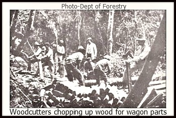 Logs being cut up into wagon component Logs being cut up into wagon component