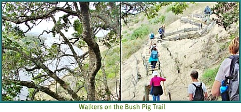 walkers on the trail