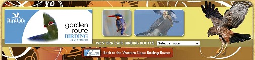 Western Cape Birding Route