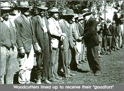 payday for the forest woodcutters with "goodfors" payday for the forest woodcutters with "goodfors"
