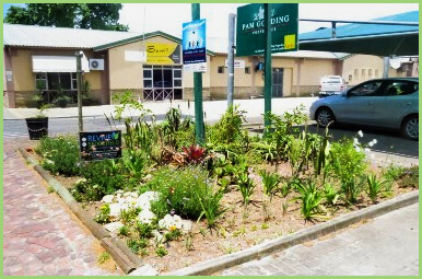 Woodpecker Mall Garden